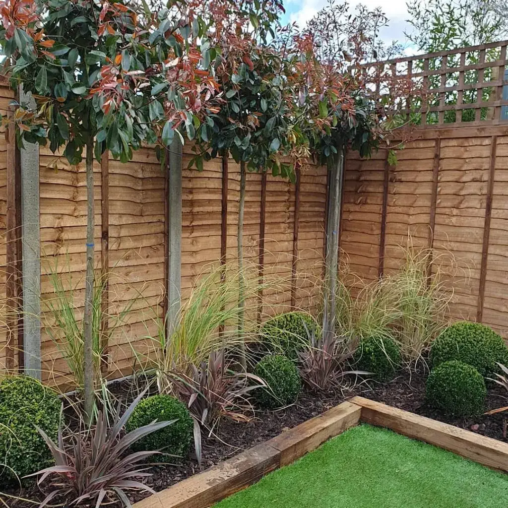 a small low-maintenance garden garden with a fence and trees