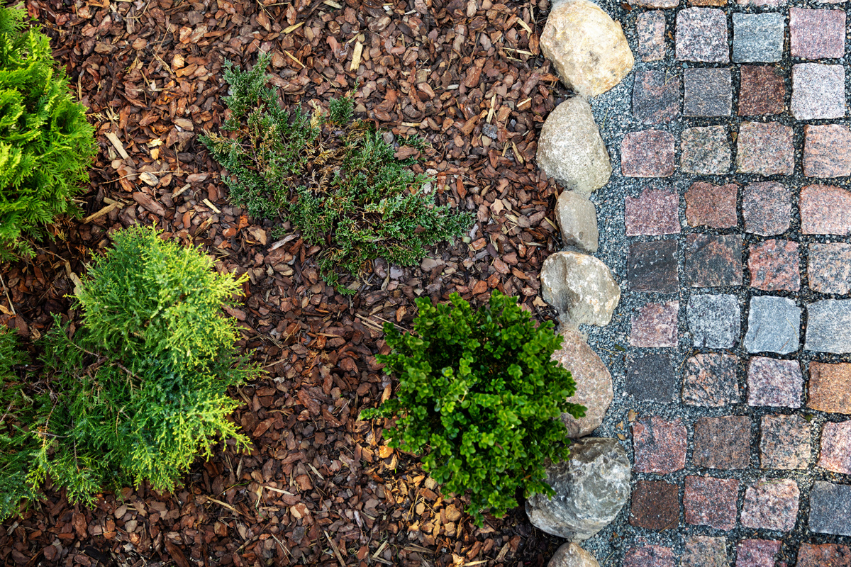 Bark mulch applied to flower beds in spring