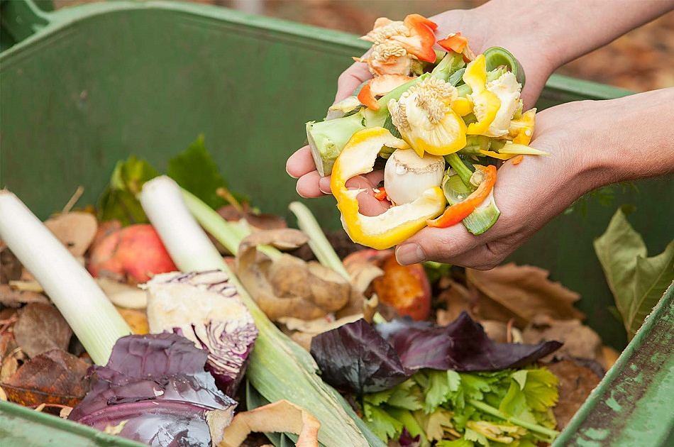 Composting Diseased Plants