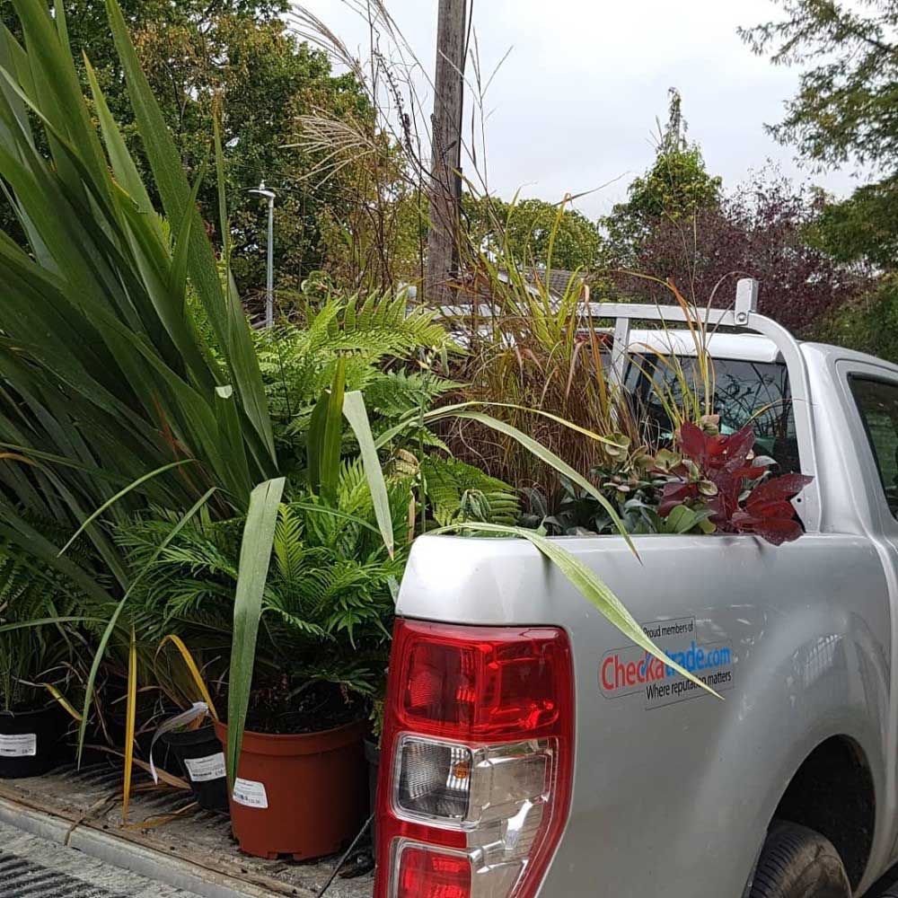 "What kind of plants can you recommend for a low-maintenance garden?" isn't in our top 25 questions to ask a landscaper, but it's a good one to ask.