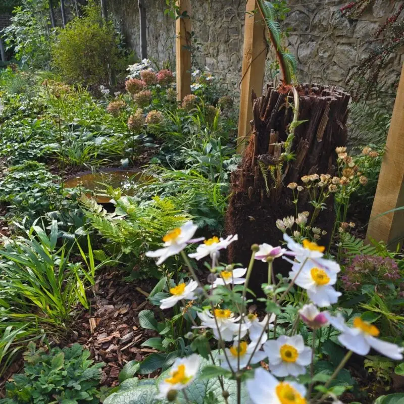 Maidstone Landscaping 7