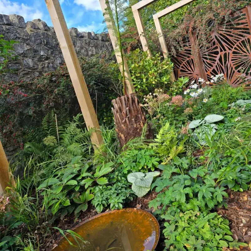 Maidstone Landscaping 8