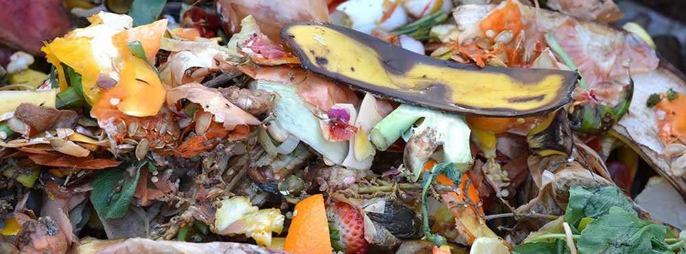 winter composting snow gardens.jpg