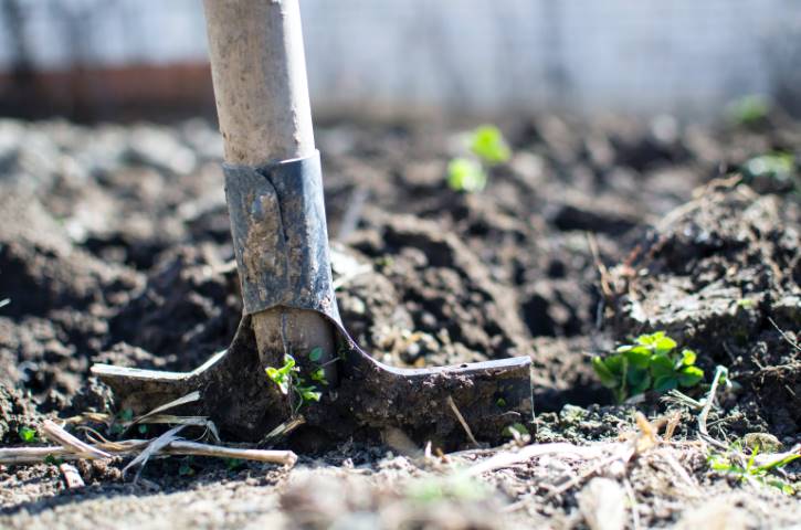 working in the garden shovel dirt helpful tips for growing fruit and vegetables in and around your home