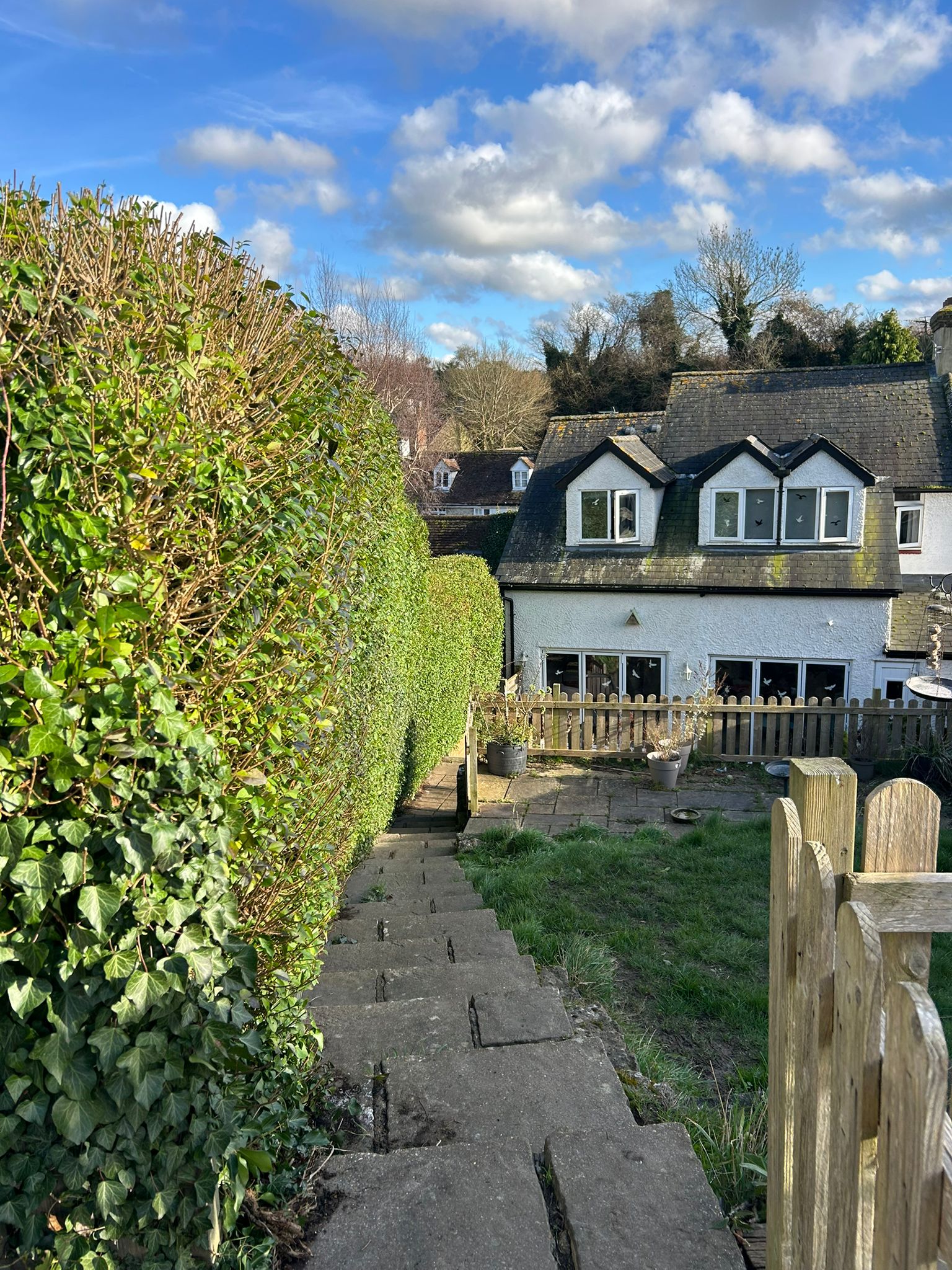Tall, neatly trimmed privet hedge beside garden steps at a property in Loose, Kent.