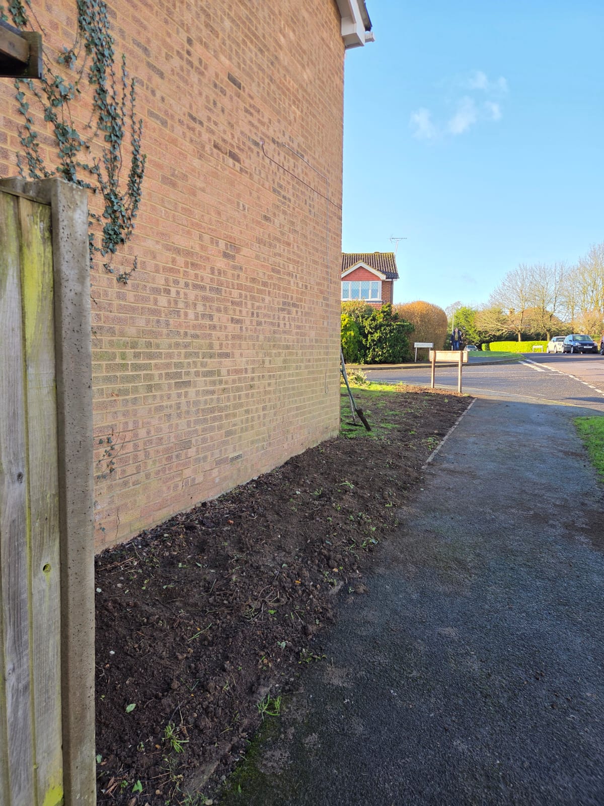 Cleared ground alongside a house following removal of an overgrown boundary hedge
